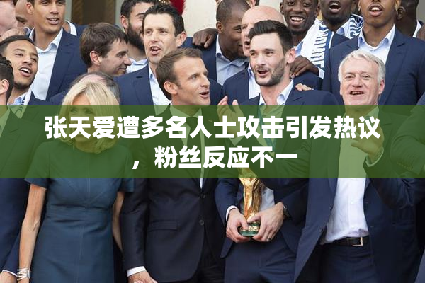 张天爱遭多名人士攻击引发热议，粉丝反应不一