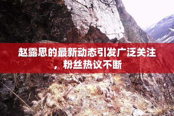 赵露思的最新动态引发广泛关注，粉丝热议不断
