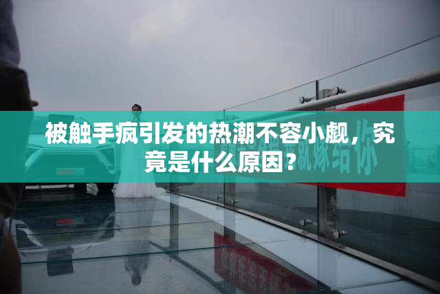 被触手疯引发的热潮不容小觑，究竟是什么原因？