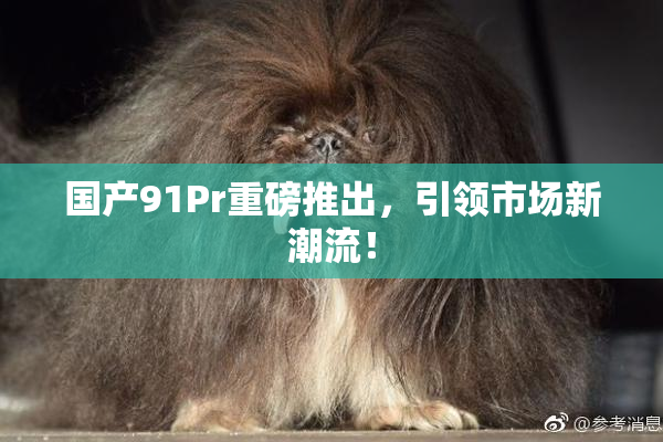 国产91Pr重磅推出，引领市场新潮流！