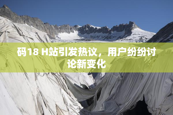 码18 H站引发热议，用户纷纷讨论新变化