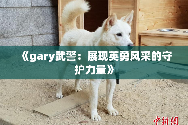 《gary武警：展现英勇风采的守护力量》