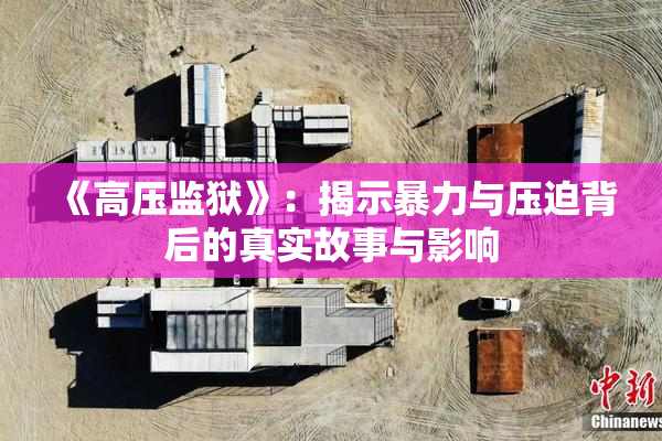 《高压监狱》：揭示暴力与压迫背后的真实故事与影响