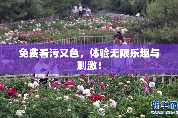 免费看污又色，体验无限乐趣与刺激！