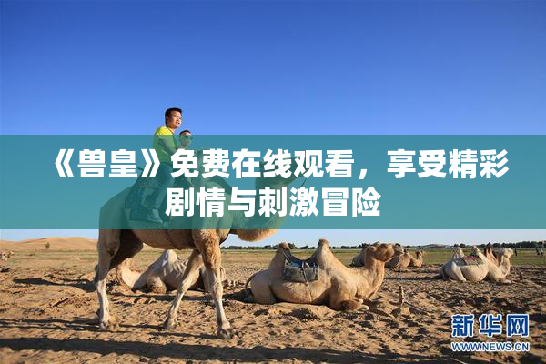《兽皇》免费在线观看，享受精彩剧情与刺激冒险