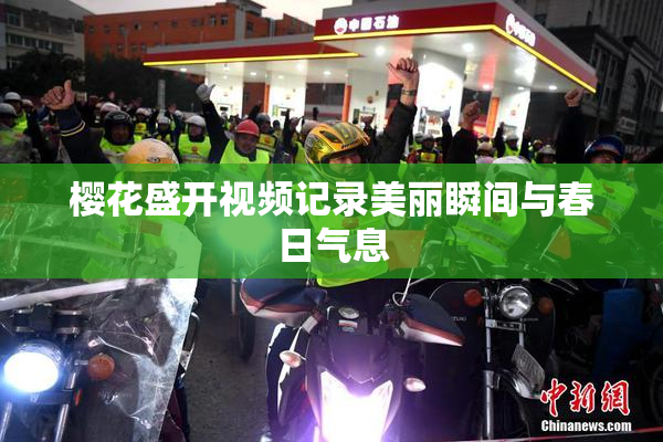 樱花盛开视频记录美丽瞬间与春日气息