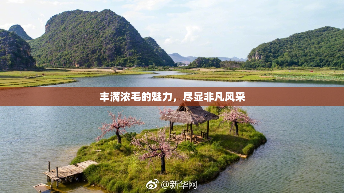 丰满浓毛的魅力，尽显非凡风采