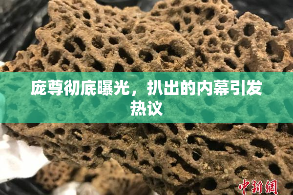 庞尊彻底曝光，扒出的内幕引发热议