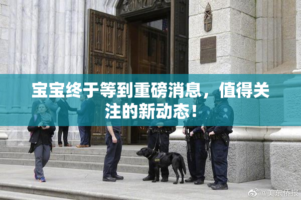 宝宝终于等到重磅消息，值得关注的新动态！