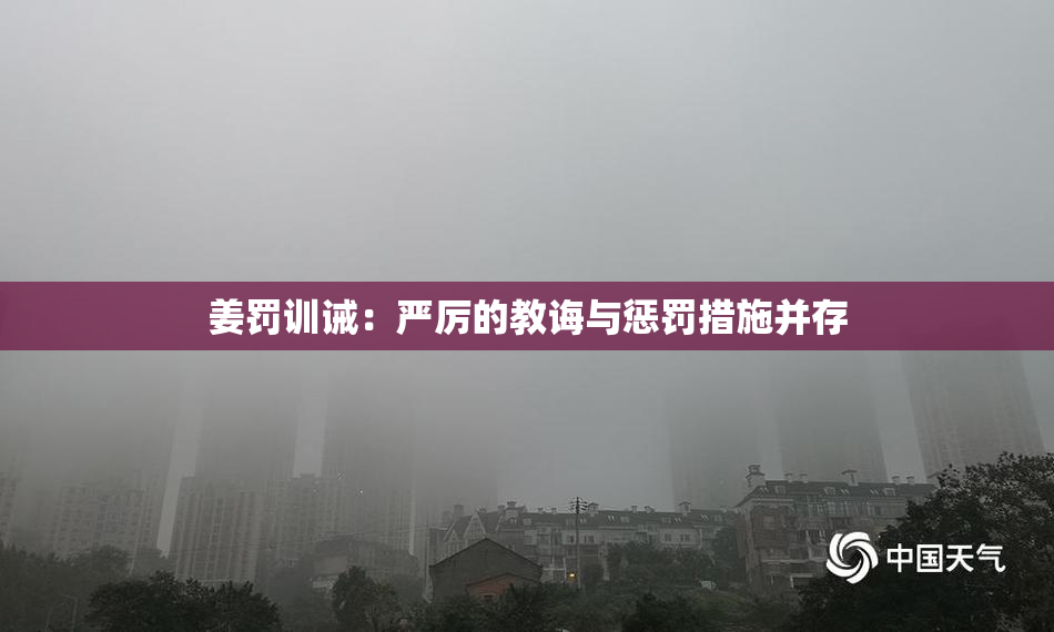 姜罚训诫：严厉的教诲与惩罚措施并存