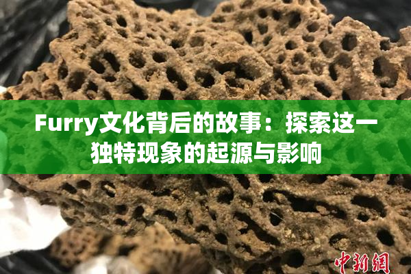 Furry文化背后的故事：探索这一独特现象的起源与影响