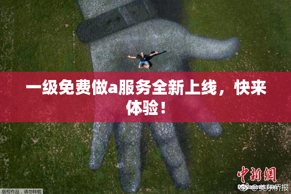 一级免费做a服务全新上线，快来体验！