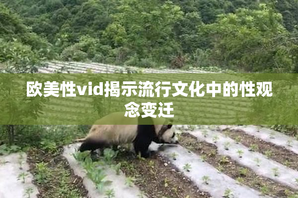 欧美性vid揭示流行文化中的性观念变迁