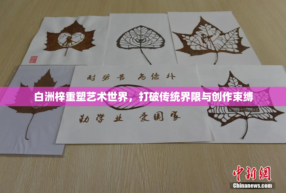 白洲梓重塑艺术世界，打破传统界限与创作束缚