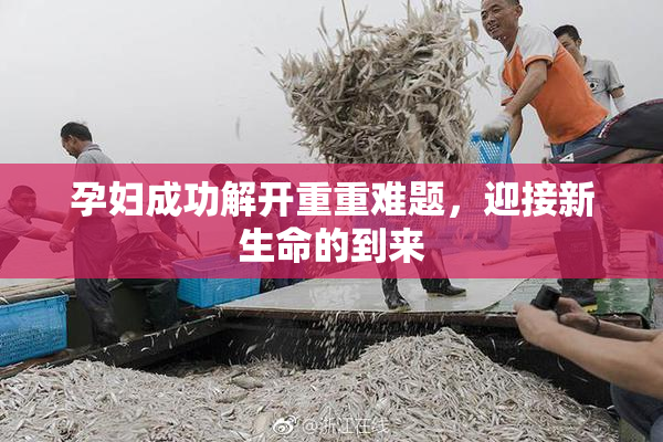 孕妇成功解开重重难题，迎接新生命的到来
