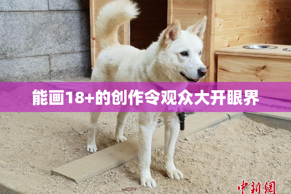 能画18+的创作令观众大开眼界