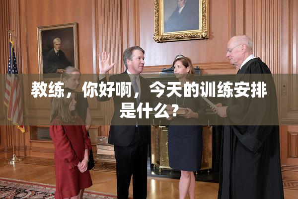 教练，你好啊，今天的训练安排是什么？