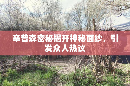 辛普森密秘揭开神秘面纱，引发众人热议