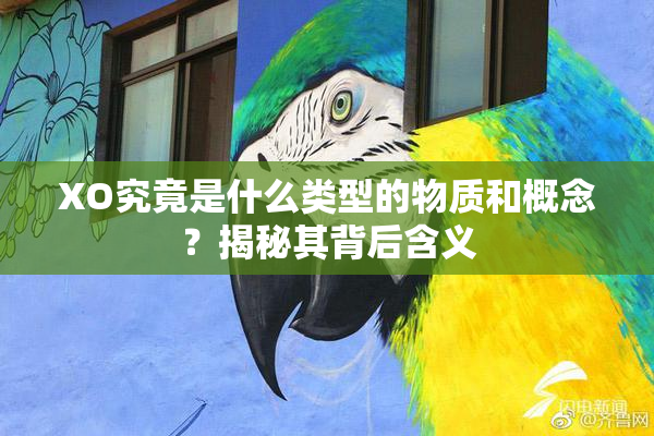 XO究竟是什么类型的物质和概念？揭秘其背后含义