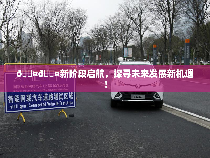 🐤🐤新阶段启航，探寻未来发展新机遇！