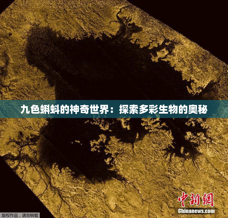 九色蝌蚪的神奇世界：探索多彩生物的奥秘