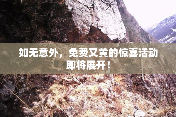 如无意外，免费又黄的惊喜活动即将展开！