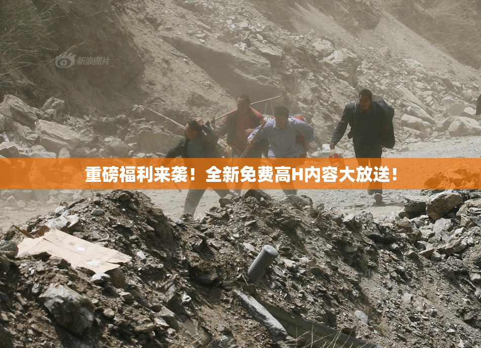 重磅福利来袭！全新免费高H内容大放送！
