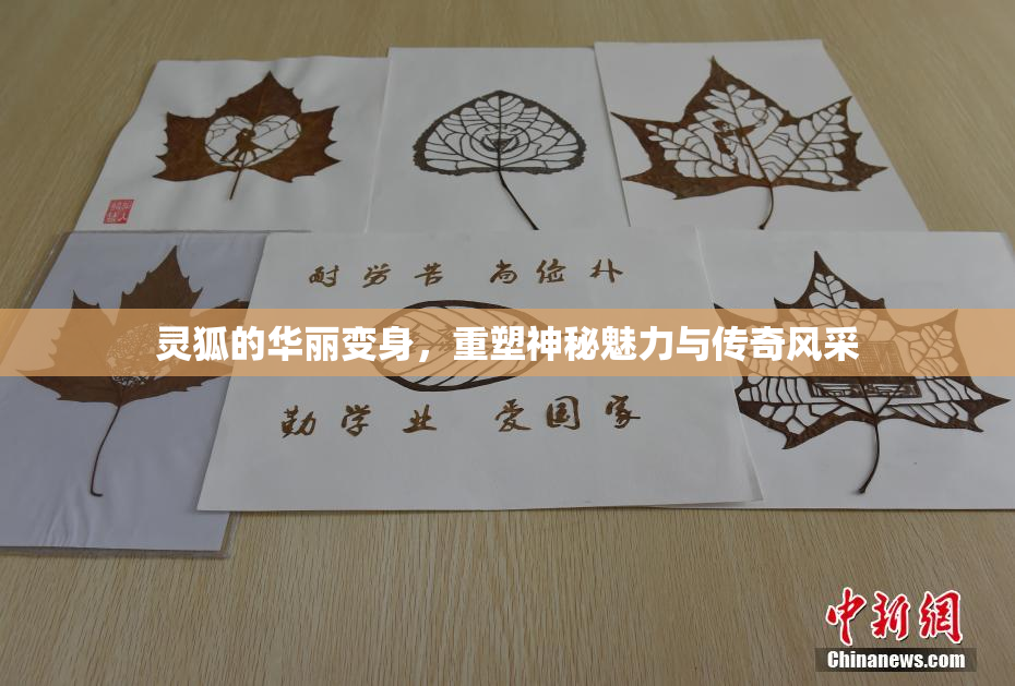 灵狐的华丽变身，重塑神秘魅力与传奇风采