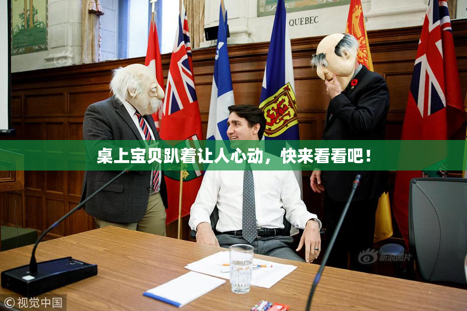 桌上宝贝趴着让人心动，快来看看吧！
