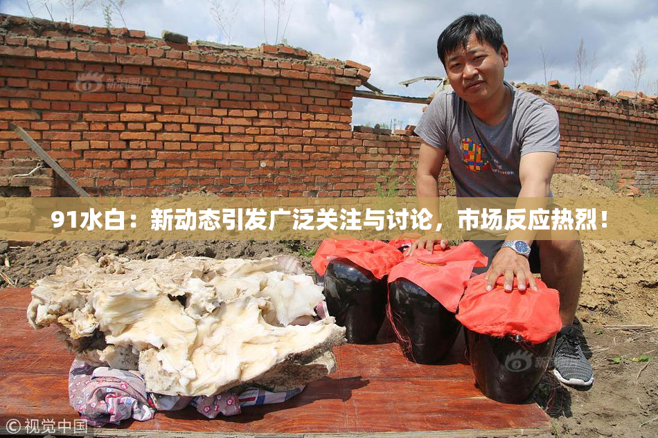 91水白：新动态引发广泛关注与讨论，市场反应热烈！