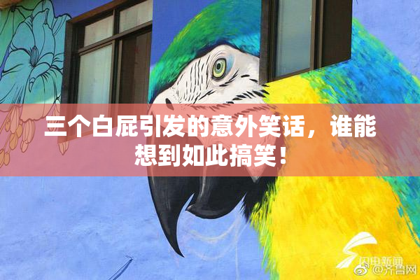 三个白屁引发的意外笑话，谁能想到如此搞笑！