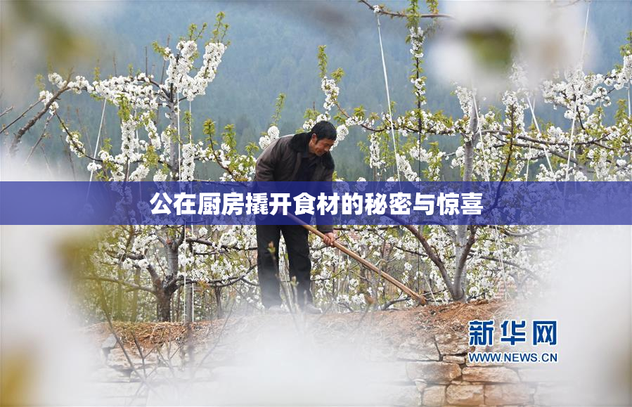 公在厨房撬开食材的秘密与惊喜