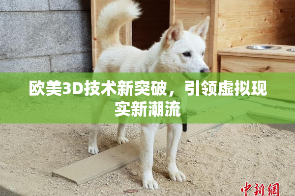 欧美3D技术新突破，引领虚拟现实新潮流