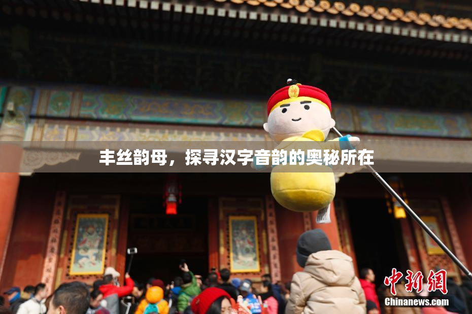 丰丝韵母，探寻汉字音韵的奥秘所在