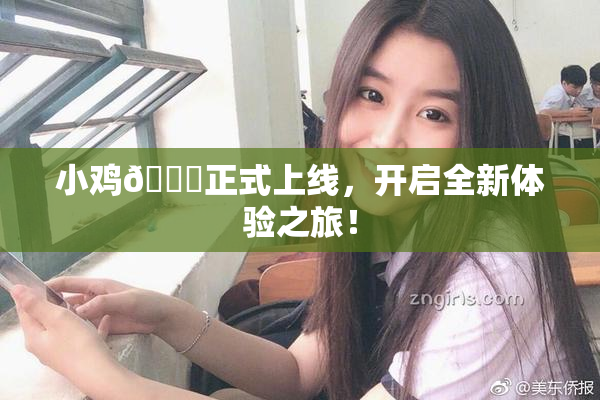 小鸡🐔正式上线，开启全新体验之旅！
