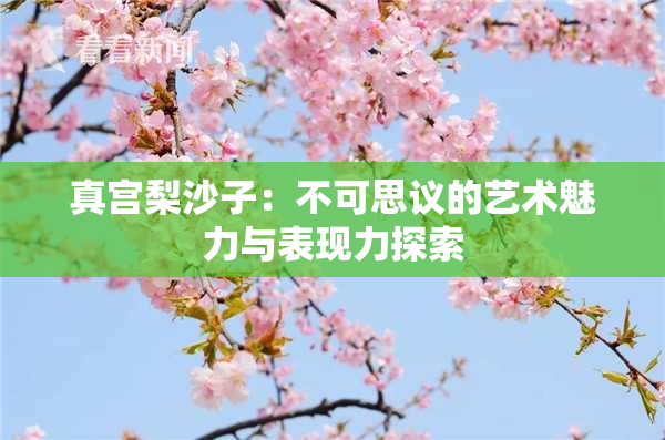 真宫梨沙子：不可思议的艺术魅力与表现力探索