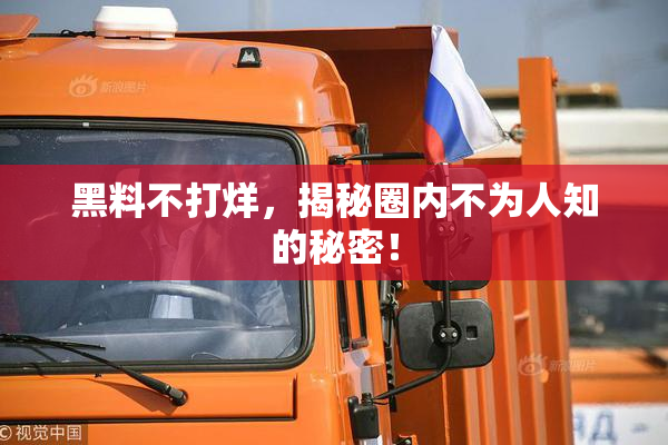 黑料不打烊，揭秘圈内不为人知的秘密！