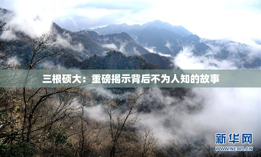 三根硕大：重磅揭示背后不为人知的故事