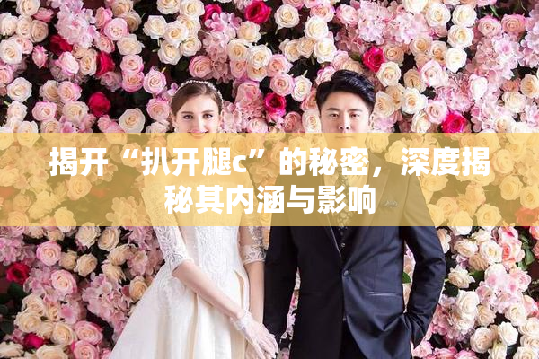 揭开“扒开腿c”的秘密，深度揭秘其内涵与影响