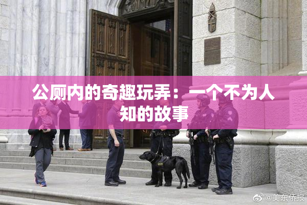 公厕内的奇趣玩弄：一个不为人知的故事
