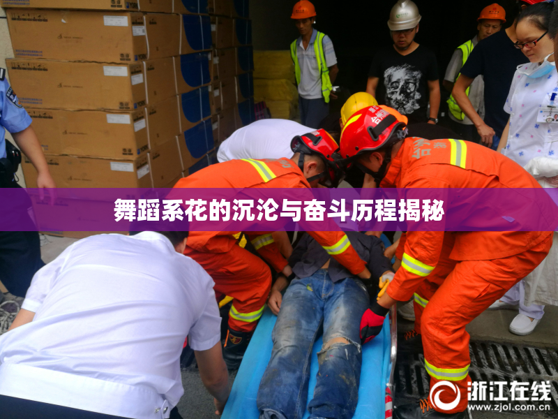 舞蹈系花的沉沦与奋斗历程揭秘