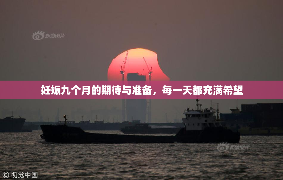 妊娠九个月的期待与准备，每一天都充满希望