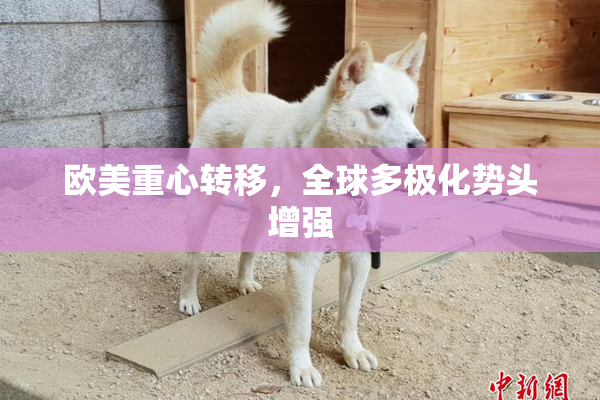 欧美重心转移，全球多极化势头增强