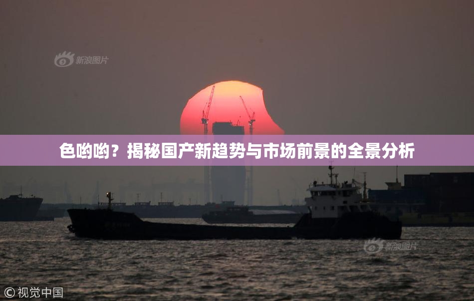 色哟哟？揭秘国产新趋势与市场前景的全景分析