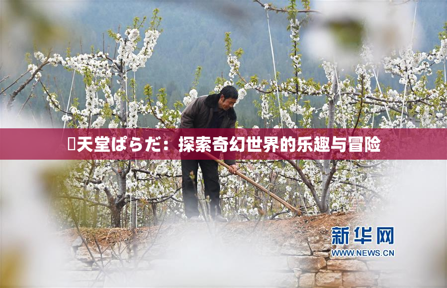 妺天堂ぱらだ：探索奇幻世界的乐趣与冒险