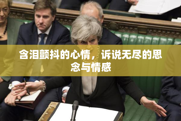 含泪颤抖的心情，诉说无尽的思念与情感