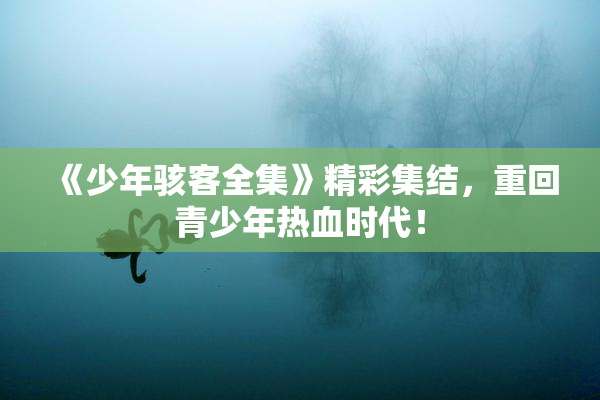 《少年骇客全集》精彩集结，重回青少年热血时代！