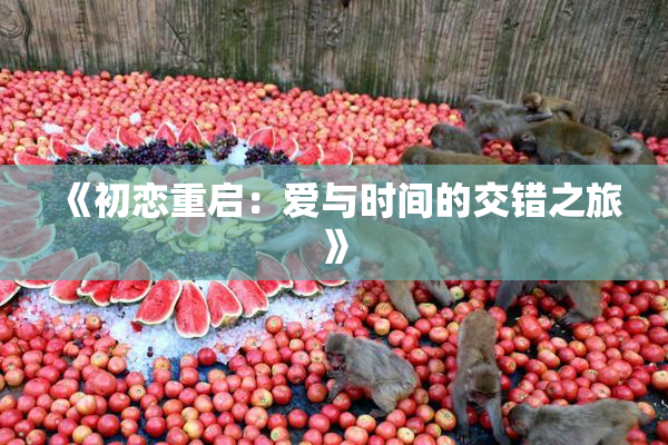 《初恋重启：爱与时间的交错之旅》