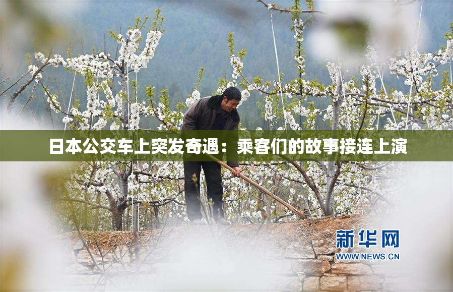 日本公交车上突发奇遇：乘客们的故事接连上演