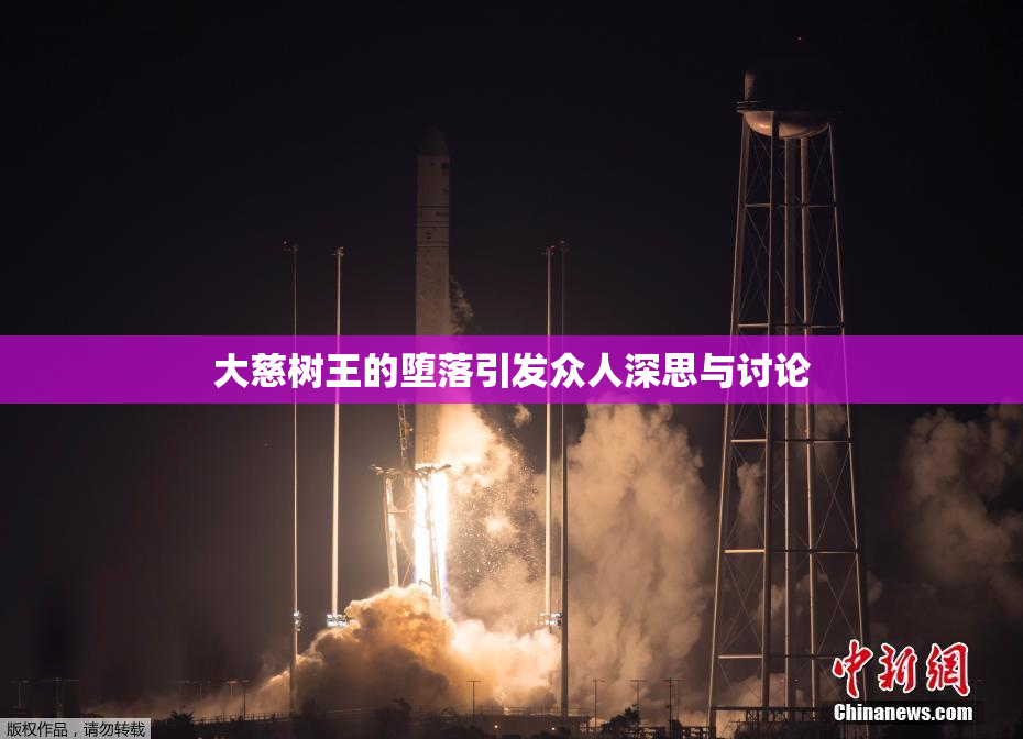 大慈树王的堕落引发众人深思与讨论